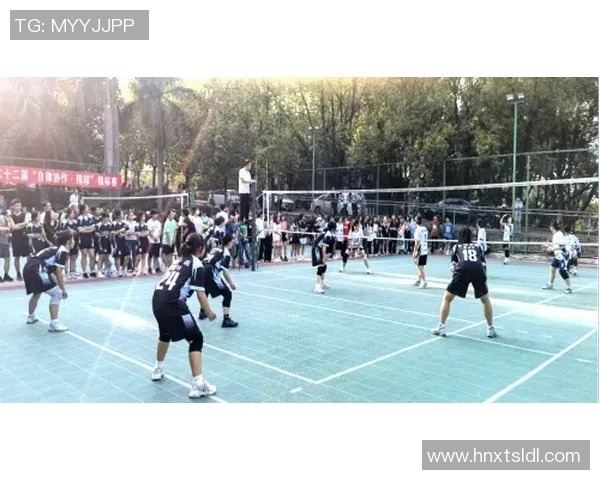 赛后分析：上海滑板队与杭州滑板队的团队协作表现与策略探讨