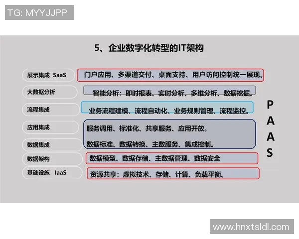 推动数字化转型与高效通信的关键：全面提升网络建设与基础设施优化
