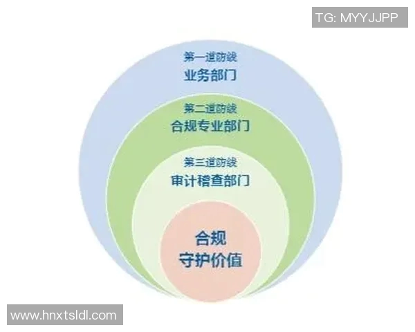 财税管理创新路径与优化策略研究：推动企业高效合规发展的实践与思考